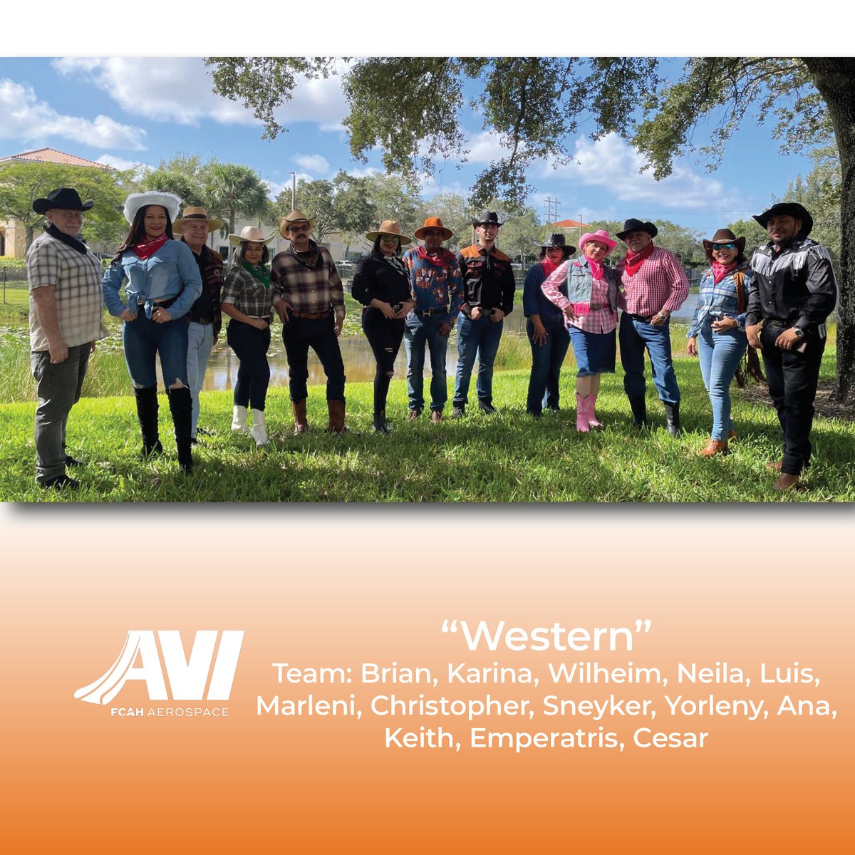 AVI - Western