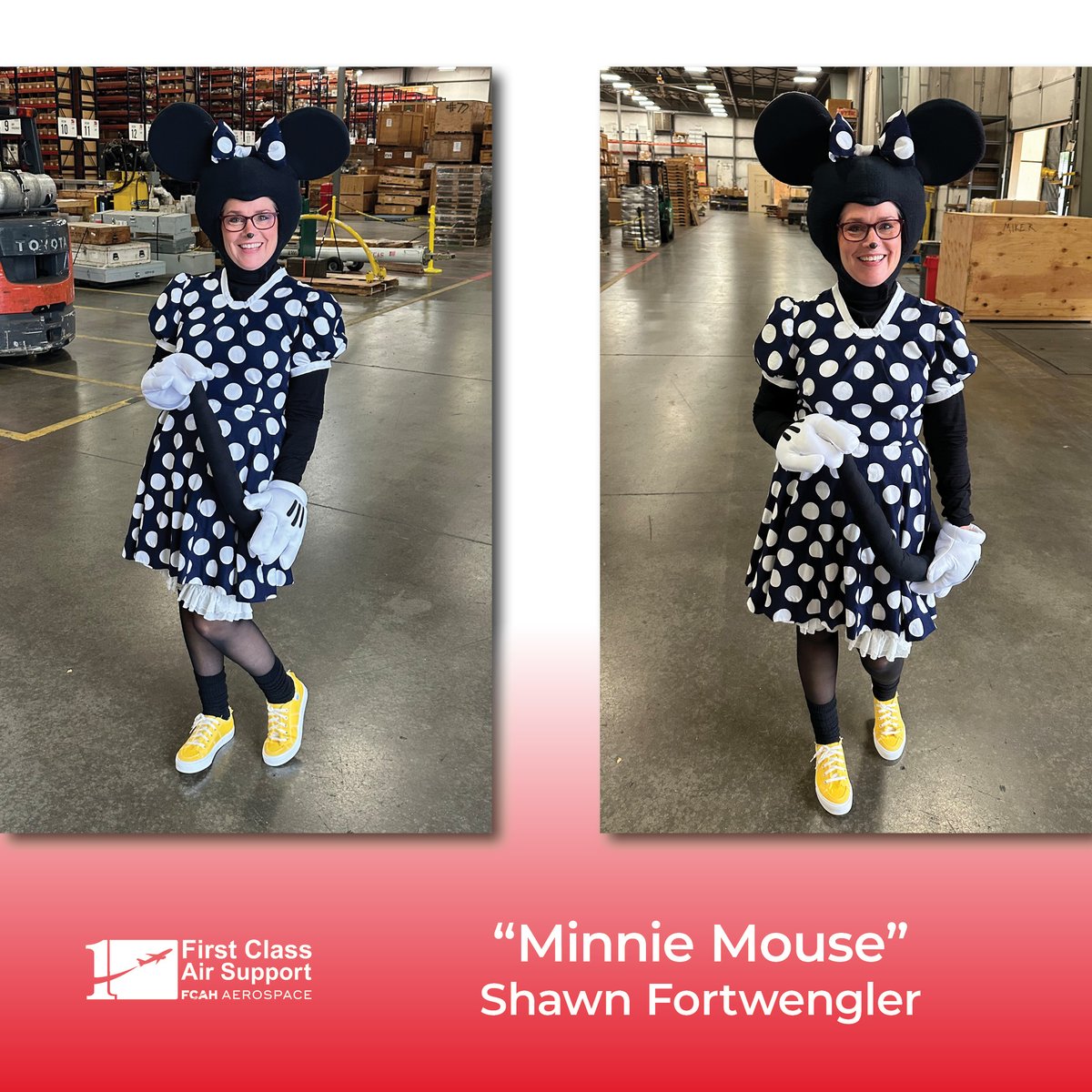 FCAS - Minnie Mouse