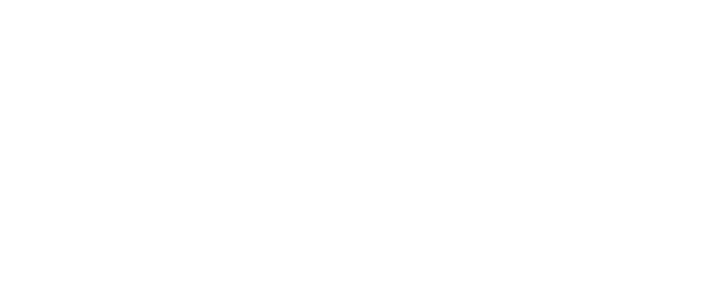 AVI_Logo_White