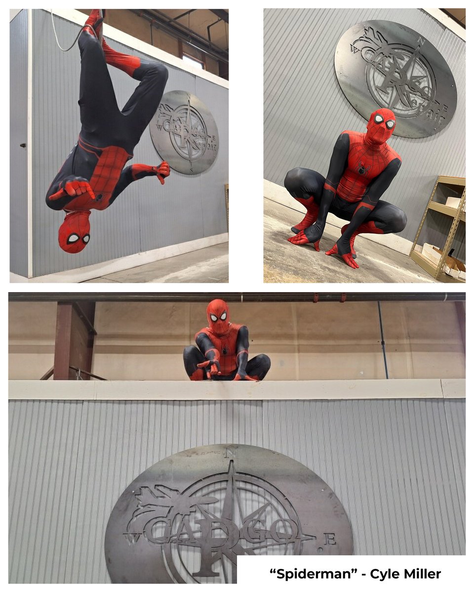 Cargo Individual #1 – Spiderman